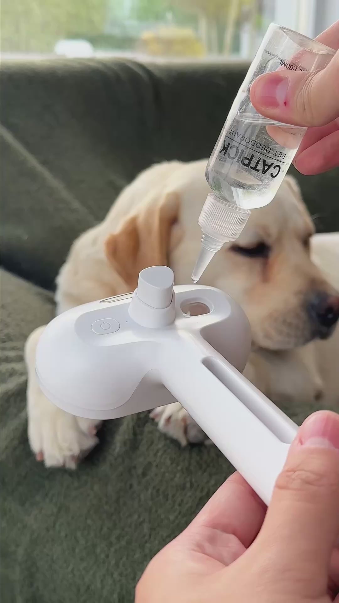 PawMisto™ Self-Cleaning Mist Brush