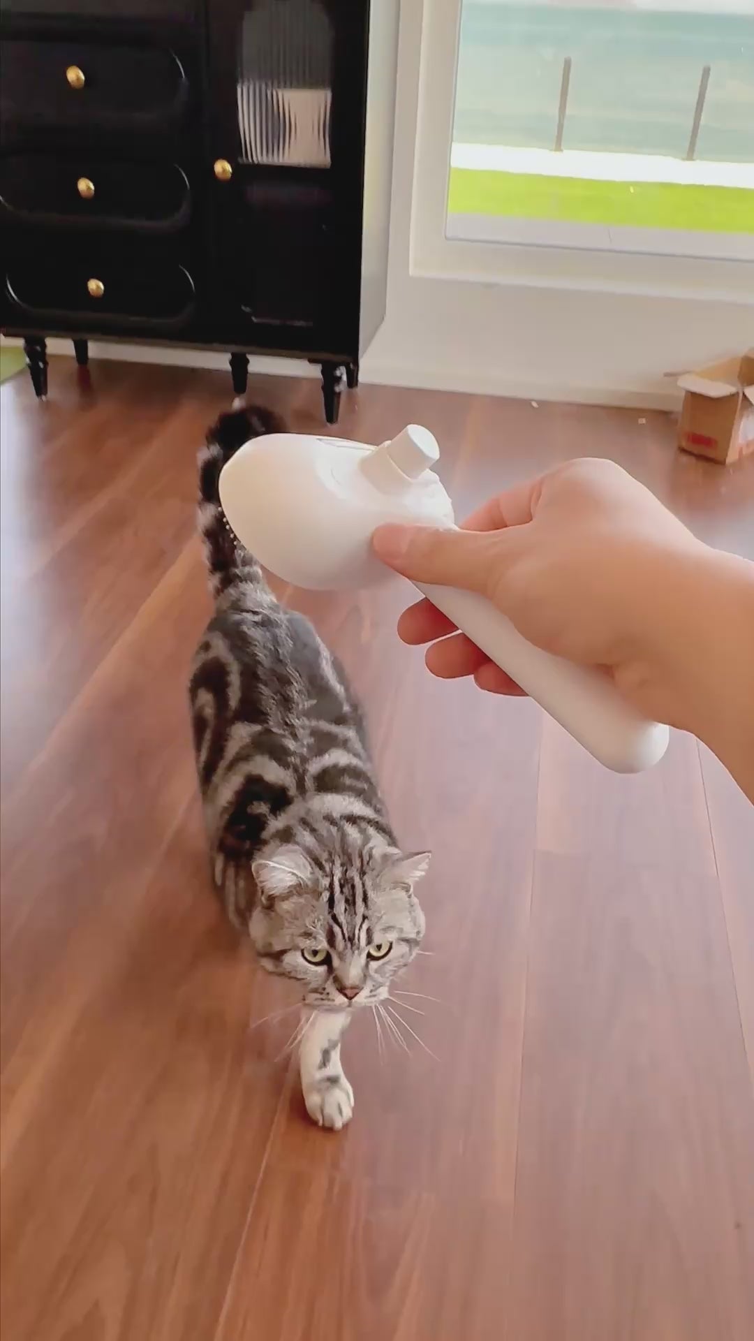 PawMisto™ Self-Cleaning Mist Brush